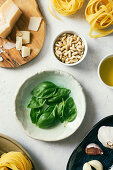 Zutatenstillleben für Tagliatelle mit selbstgemachtem Basilikum-Pesto