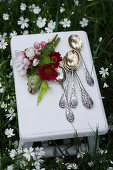 Apple blossom, red flowers and parrot tulips next to silver spoons