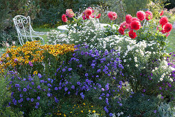 A Chair next to a bed with autumn asters, dahlias, and Helenium