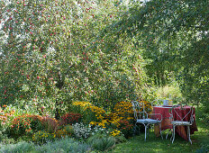 Kleiner Sitzplatz im Garten neben Staudenbeet und Apfelbaum