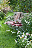 Sitzplatz auf Bank am Beet mit Aster, Herbstanemone, Dahlien und Zinnien