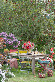 Sitzgruppe im Garten am Beet mit Aster und Apfelbaum