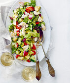 Chopped chicken salad with radish and avocado