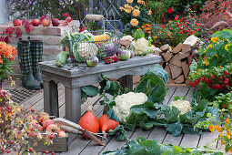 Thanksgiving still life: cauliflower, pumpkin, eggplant, zucchini, cucumber, peppers, and apples