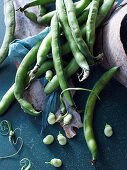 Broad Beans