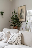 Houseplant and etching behind pale sofa with scatter cushions