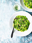 Risotto verde with broad beans, peas and spinach