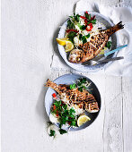 Gegrillter Fisch mit Sellerie-Fenchel-Salat