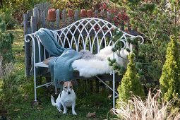 Bench with fur and blanket in the pre-Christmas garden, dog Zula