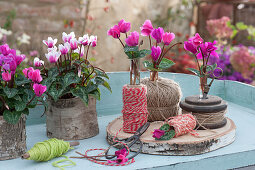 Small bouquets of cyclamen, unusually decorated with spools of thread and string, pots covered with bark