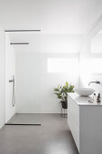 Washstand and shower area in white bathroom