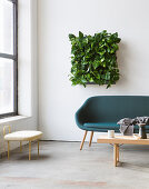 Devil's ivy in square green wall planter above sofa