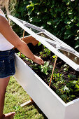 Girl checks the young plants in the DIY mini-greenhouse