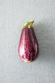 Hellviolette Aubergine mit Streifen