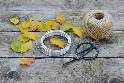 Ingredients for beech leaves wreath: leaves, scissors, wire and string