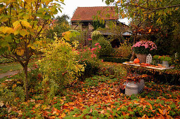 Ländlicher Garten mit buntem Herbstlaub