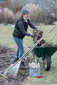 Woman puts garden waste in the wheelbarrow