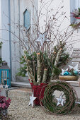 Rural Christmas decoration with birch trunks, birch and fir branches