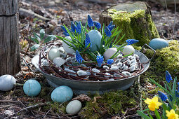 Easter basket with grape hyacinths 'Blue Pearl', wreath of kitten willow and Easter eggs in a zinc bowl
