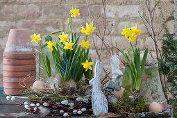 Daffodil 'Tete a Tete' and grape hyacinth 'Blue Pearl' in a wreath of twigs and grass, with Easter bunnies, cones and feathers
