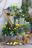 Easter arrangement on the terrace: daffodils 'Tete a Tete', net iris, milk star, grape hyacinths, crocuses, Easter bunnies and Easter eggs