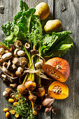 Various salad ingredients (pumpkin, yellow beets, potatoes, mushrooms)