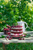 Chocolate cherry mascarpone cake