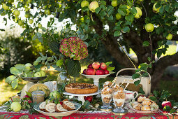 Summer buffet with apple pie, pastries and desserts