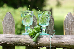 Basil wine for detoxification