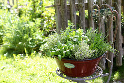 Verschiedene Küchenkräuter in Vintage-Pflanzgefäß auf Gartenstuhl