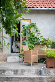 Seating area on terrace outside house with vines growing on wall