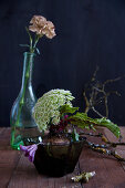 Unusual arrangement of bishop's flower and clematis on beetroot and carnation in glass bottle