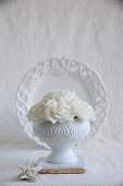 White carnations in white bowl
