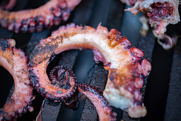 Grilled octopus