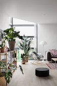 Zimmerpflanzen im modernen Wohnzimmer mit Eckfenster