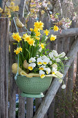 Kitchen sieve planted with daffodils, horned violets and grape hyacinths decorated with wooden birds and Easter eggs