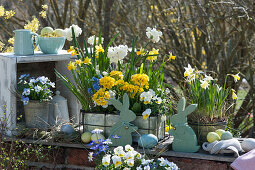 Daffodils, primroses, horned violets, grape hyacinths and ray anemones decorated for Easter with Easter bunnies and Easter eggs
