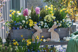 Wooden box with daffodils, primroses, hyacinths, horned violets, ray anemones, sugar loaf spruces and wild tulips, Easter bunnies and Easter eggs