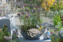 Checkerboard flowers in a silver bowl, silver Easter bunnies and Easter eggs