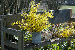 Bouquet made of gold bells branches on bench in the garden, wire basket with Easter eggs