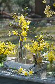 Gold bells bouquets and daffodils in glass bottles