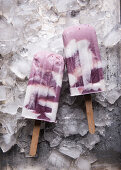 Vegan blueberry yoghurt and coconut milk ice lollies