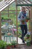 Woman brings pots with carnations from the greenhouse