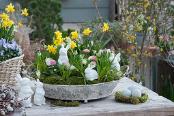 Easter decoration with grape hyacinths, daffodils and daisies with Easter bunnies in a metal tray