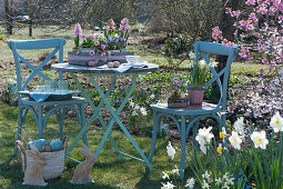 Small seating area in the spring garden, pots with hyacinths, daisy, daffodils 'Toto' and ray anemone, Easter with Easter eggs and Easter bunnies