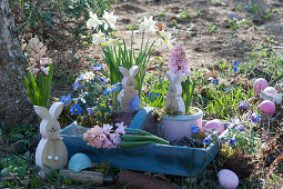 Easter decoration in the garden with hyacinths, daffodils 'Toto', ray anemone, Easter bunnies and Easter eggs