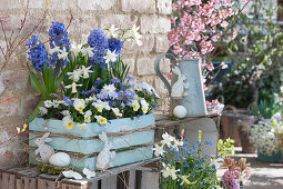 Hyacinths, daffodils 'Toto', horned violets and ray anemone in a wooden box, Easter bunnies and Easter eggs