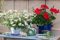 Rural arrangement with bidens 'Bee White' and red geranium, small grass wreaths and chive flowers bouquets