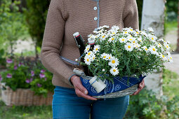 Bavarian gift basket with daisies, beer bottle, beer mug and scarf