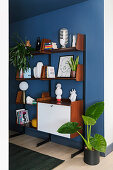 Alokasie vorm Mid Century Regal an blauer Wand